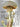The Future is Fungi How Fungi Can Feed Us, Heal Us, Free Us and Save Our World /anglais cover image