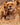 Africa: Discovering Wildlife Parks cover image
