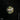 Skylab: The Nature of Buildings cover image