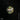 Skylab: The Nature of Buildings cover image