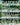 Garden City: Supergreen Buildings, Urban Skyscapes and the New Planted Space /anglais cover image