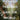 Houses That Can Save the World cover image