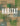 Habitat: Vernacular Architecture for a Changing Climate cover image