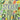 The Big Sticker Book of Blooms (The Big Book Series) cover image