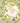 Keep an Eye on Ivy cover image