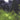 Imagination cover image