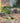 Sorolla: Painted Gardens cover image