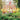 Kusama: Cosmic Nature cover image