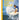Shaping Surf History: Tom Curren and Al Merrick, California 1980-1983 cover image