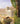 Thomas Cole: The Artist as Architect cover image
