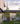 The Meaningful Modern Home: Soulful Architecture and Interiors cover image