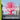 Elevated: Art on the High Line cover image