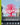 Elevated: Art on the High Line cover image