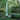 Charles J. Stick and His Gardens cover image