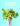 The Flower Expert (Paperback) /anglais cover image