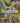 Garden: Exploring the Horticultural World cover image