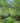 The Garden: Elements and Styles cover image