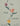The Tulip Garden: Growing and Collecting Species, Rare and Annual Varieties cover image