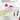 Marion Eichmann: Sight.Seeing Bundestag (Zeitgenössische Kunst) cover image
