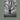 Olmsted Trees: Stanley Greenberg cover image