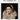 El Greco: Domenikos Theotokopoulos, 1541-1614, a Prophet of Modernism (Basic Art) cover image