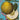 J. C. Volkamer. The Book of Citrus Fruits: Collector's Edition (Extra large) cover image