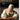 Vermeer. The Complete Works (Extra large) cover image