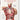 Bourgery. Atlas of Human Anatomy and Surgery cover image