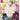 Redouté. The Book of Flowers. 45th Ed.: Das Buch der Blume / Le livre des fleurs (40th Edition) cover image