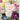 Redouté. The Book of Flowers: Mehrsprachige Ausgabe cover image