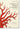 Seba. Cabinet of Natural Curiosities: . cover image