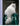 Walter Chandoha. Cats. Photographs 1942–2018 cover image