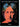 Art Record Covers. 40th Ed. cover image