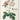 Redouté. Roses: Roses; the Complete Plates 1817-1824 cover image