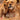 Africa: Discovering Wildlife Parks cover image