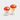 SALT & PEPPER MAGIC MUSHROOM